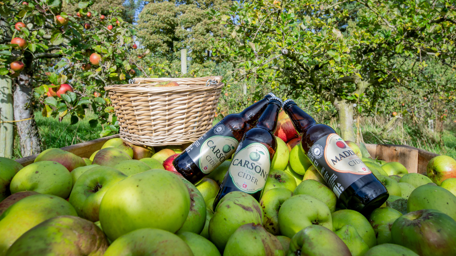 Cider from Armagh Cider Company